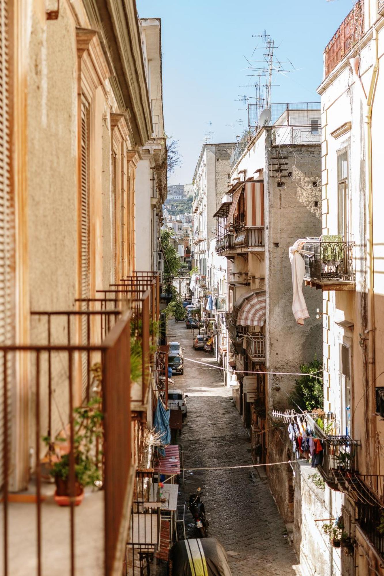 Botanic - * Naples